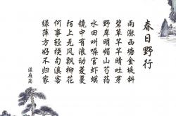 爱游戏APP-梅西一锤定音，西班牙阳光下的那不勒斯叹息