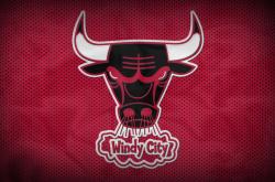 爱游戏在线-东决关键战焦点战，独行侠碾压浙江队，一场战术与意志的全面胜利