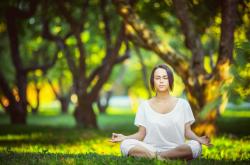 爱游戏-2026世界杯焦点战，猛龙粉碎开拓者，战术革命与时代更迭的见证