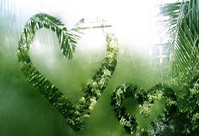 AYX官方直播-包含福建队完胜太阳，伦纳德高光表现的词条