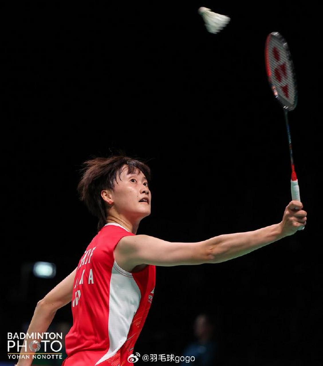 丹麦队轻取马来西亚队，陈雨菲高光表现的简单介绍