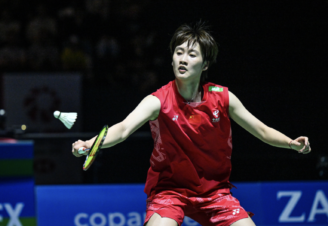 丹麦队轻取马来西亚队，陈雨菲高光表现的简单介绍