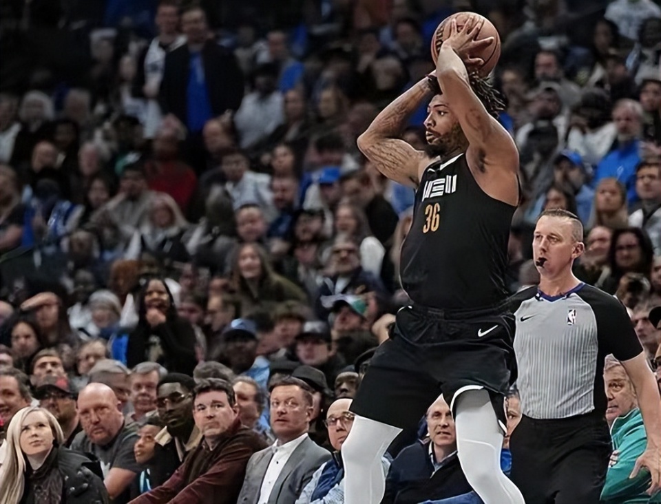 灰熊绝杀独行侠，欧文绝境逆转的简单介绍