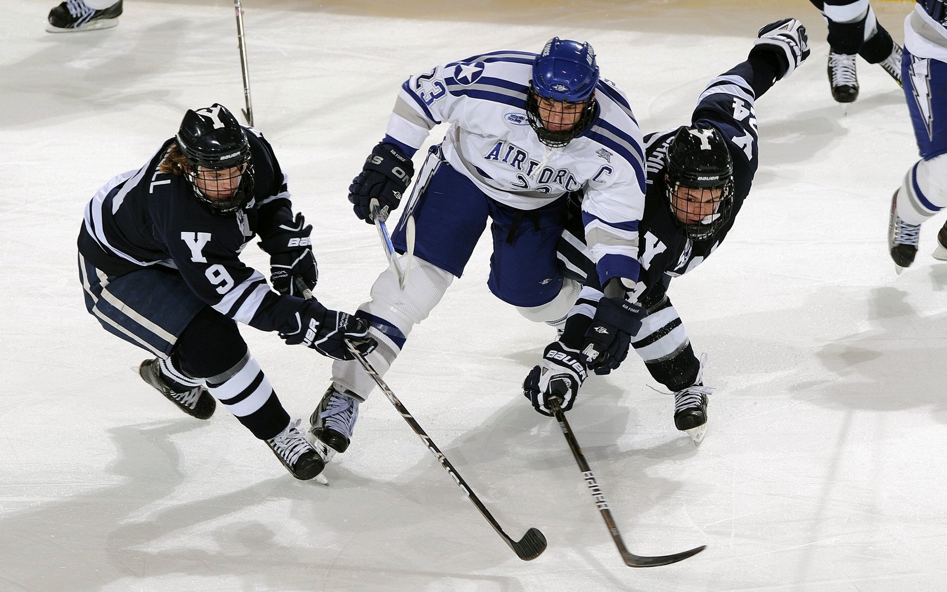 王权与羽翼的史诗对决,文班亚马高能风暴席卷鹈鹕巢穴