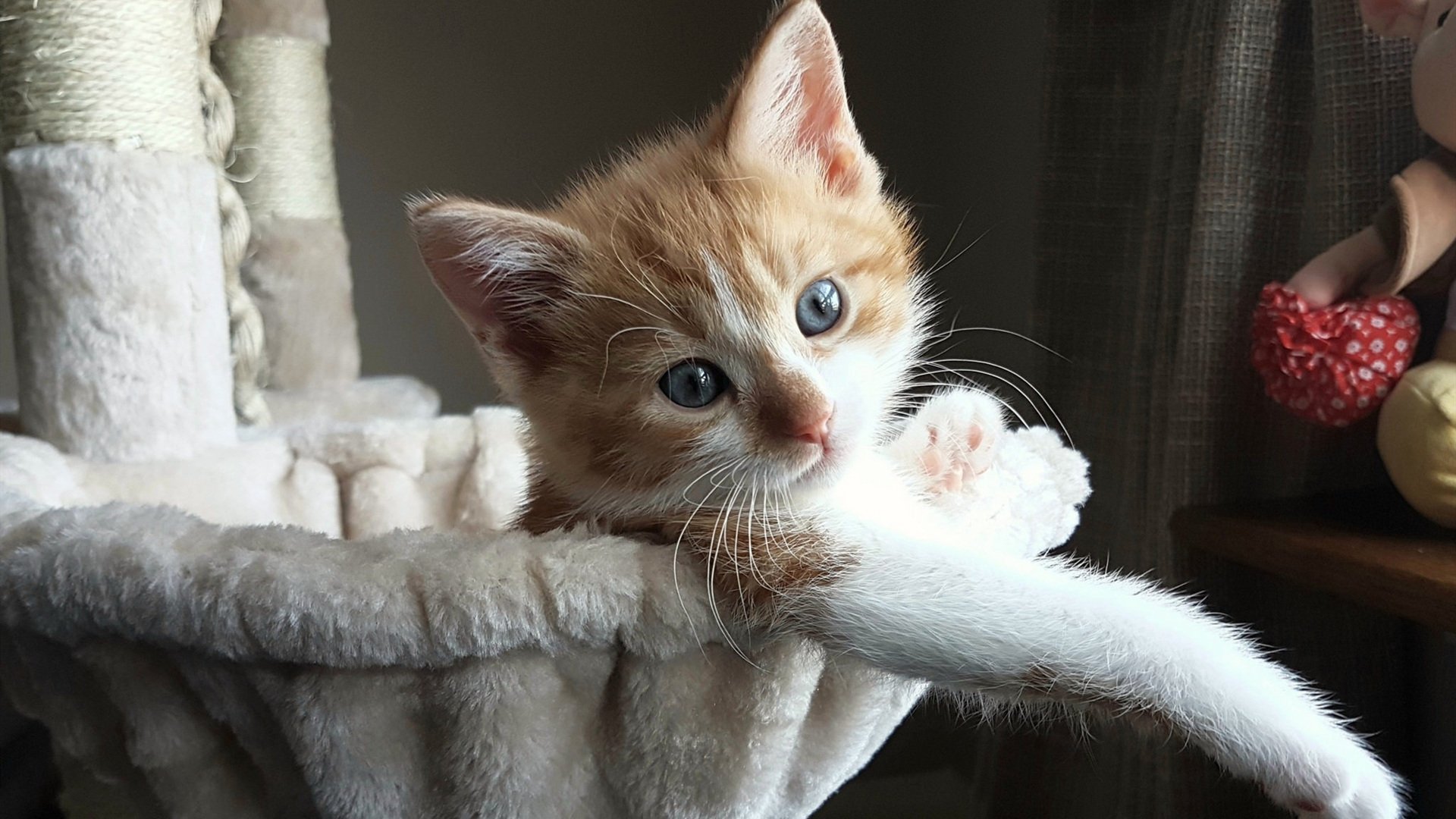 马刺强势拿下爵士,字母哥成为关键先生,一场定义赛季的胜利